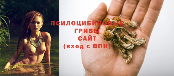 2c-b Абаза