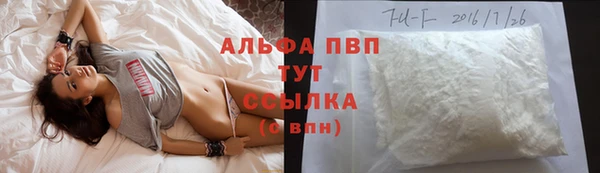 прущие грибы Абдулино