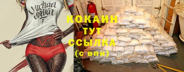 прущие грибы Абдулино