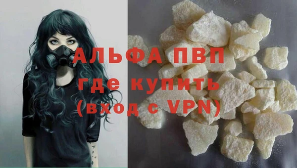 прущие грибы Абдулино